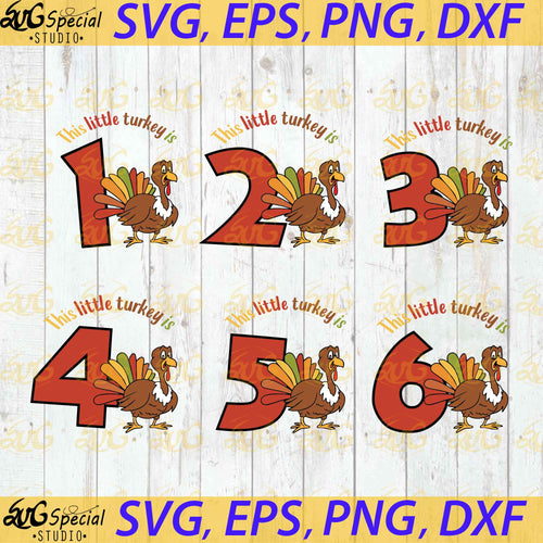 Thanksgiving birthday Svg, Turkey birthday Svg, 1st Birthday Svg, Cricut File, Clipart, Turkey Svg, Thanksgiving Svg, Png, Eps, Dxf