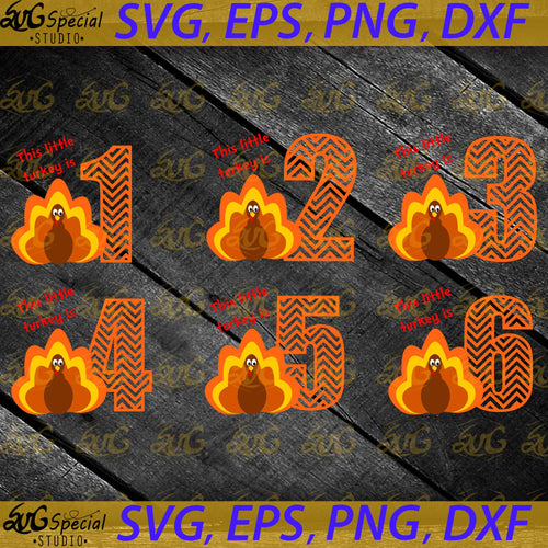 Thanksgiving birthday Svg, Turkey birthday Svg, 1st Birthday Svg, Cricut File, Clipart, Turkey Svg, Thanksgiving Svg, Png, Eps, Dxf 2